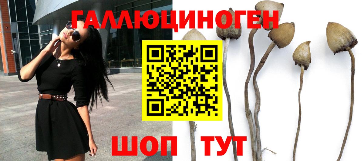 Псилоцибиновые грибы GOLDEN TEACHER  Вход с VPN  Железногорск 